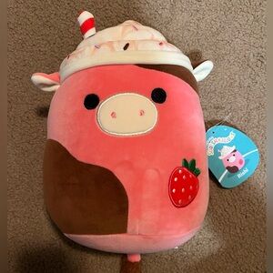 Squishmallow Rishi 🩷🩷🩷